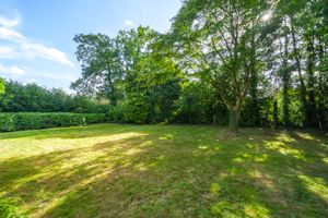 Photo 10- click for photo gallery